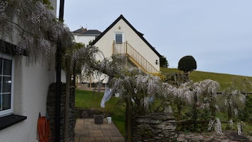 Tuin