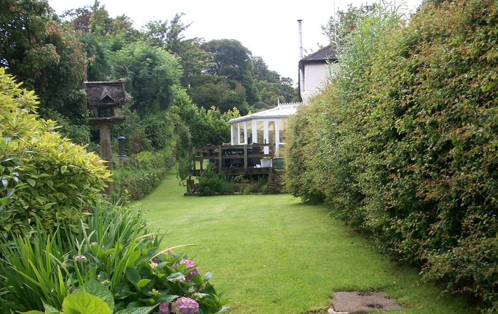 Un jardin avec une pelouse, une structure en bois et un feuillage dense.