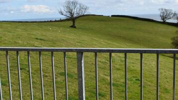 A grassy hill with a metal railing in the foreground.