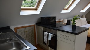A compact kitchen with a microwave, oven, and sink. There are skylights above the counter, and a plant on the counter.