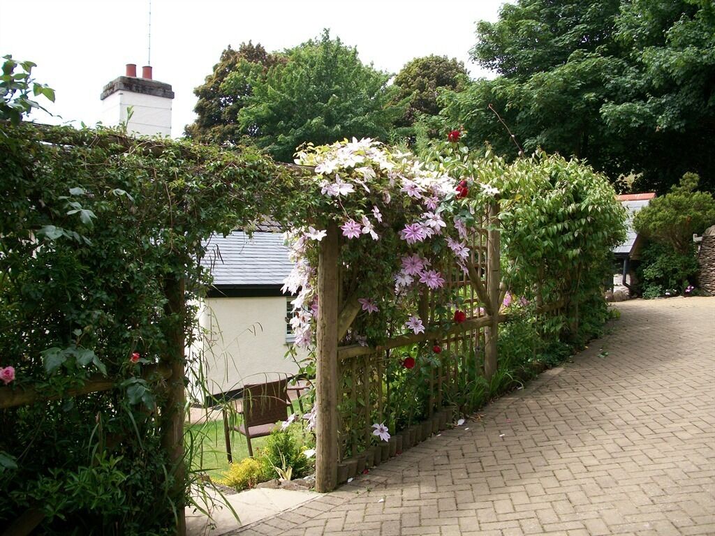 A garden pathway with a wooden trellis covered in flowering plants.