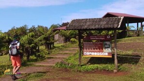 A wooden shelter with a signboard, surrounded by greenery and a clear sky. - Hostal Loja (Puerto Villamil)