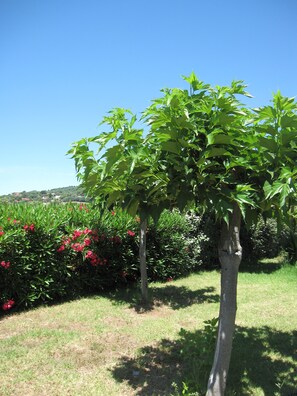 Áreas de la propiedad
