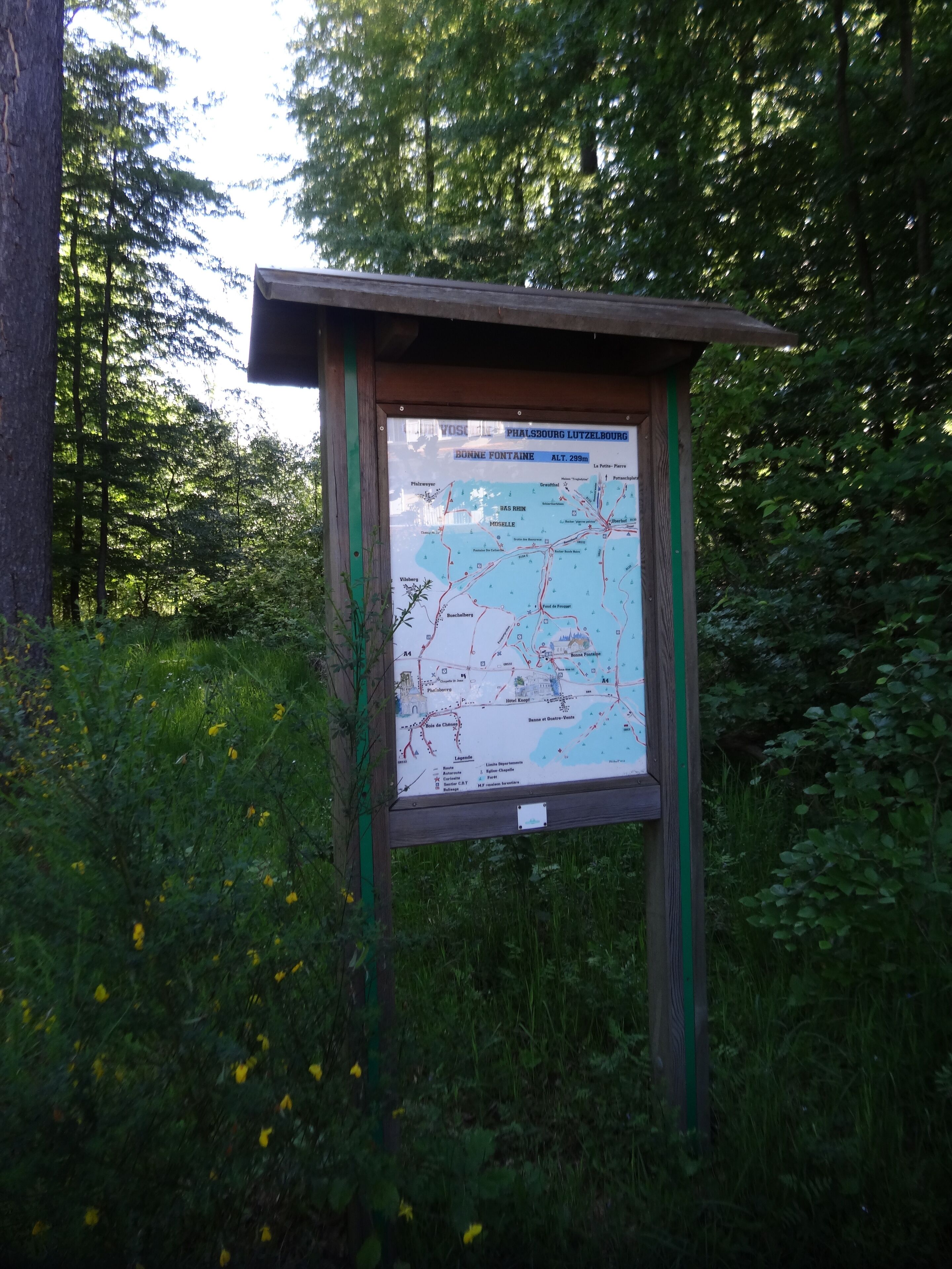 A map sign in a wooded area.