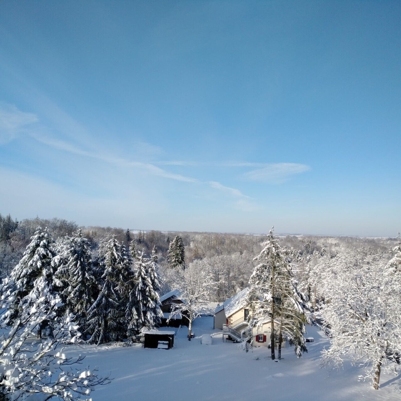Un paysage enneigé avec une cabane et des arbres.