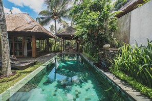 A swimming pool with a stone-lined edge, surrounded by lush greenery and a thatched-roof structure.