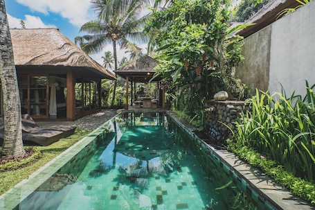 A swimming pool with a stone-lined edge, surrounded by lush greenery and a thatched-roof structure.