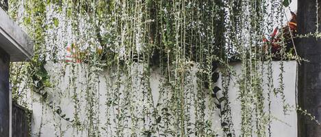 Un jardin intérieur paisible, agrémenté de plantes suspendues, d’un élément décoratif aquatique en pierre et d’une lanterne de pierre de style japonais traditionnel.
