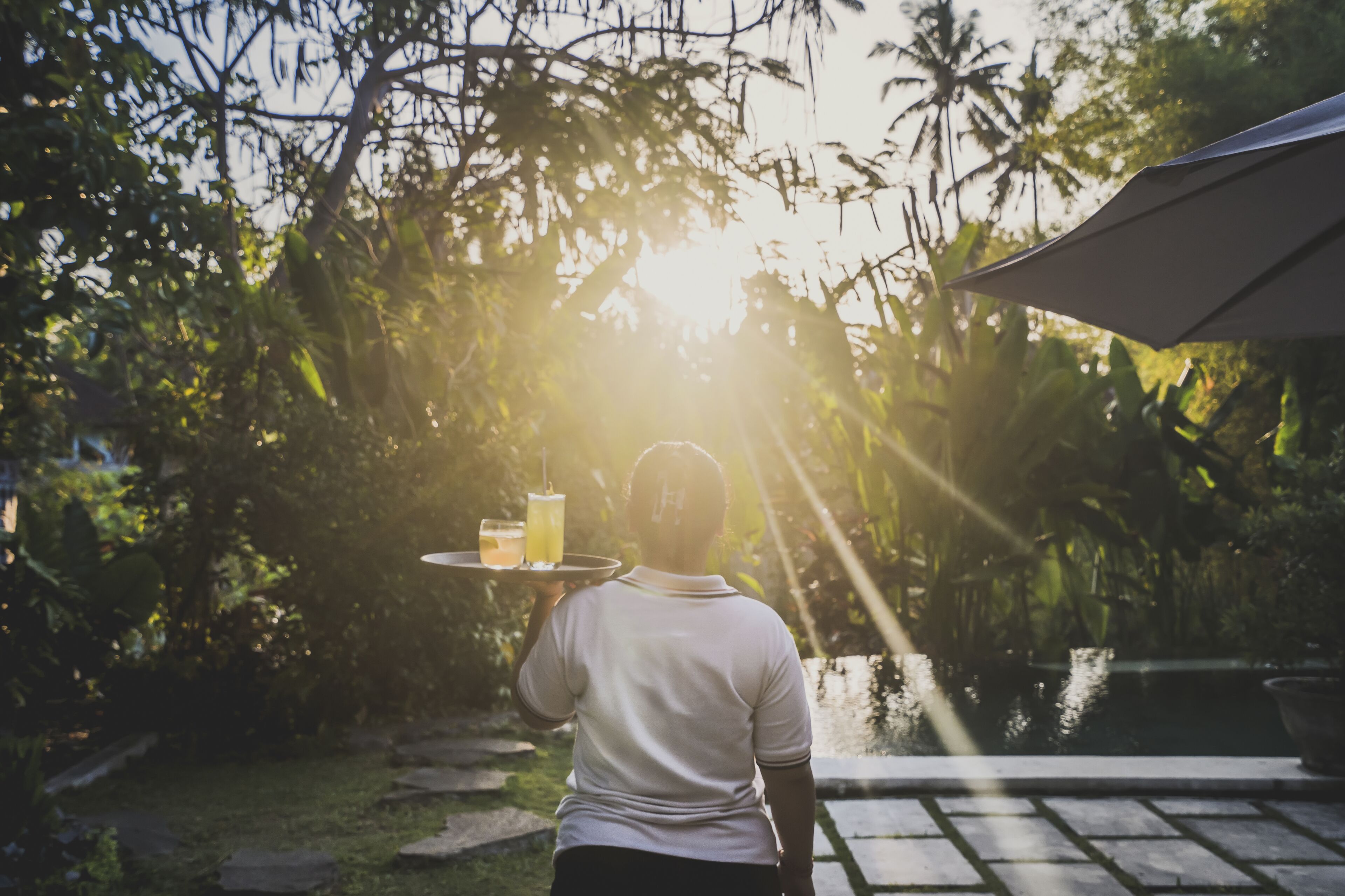 A person carrying a tray with drinks in a garden setting with a pool and palm trees.
