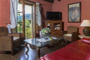 Flat-screen TV, books - Casa Rural Can Jepet (La Cellera de Ter)