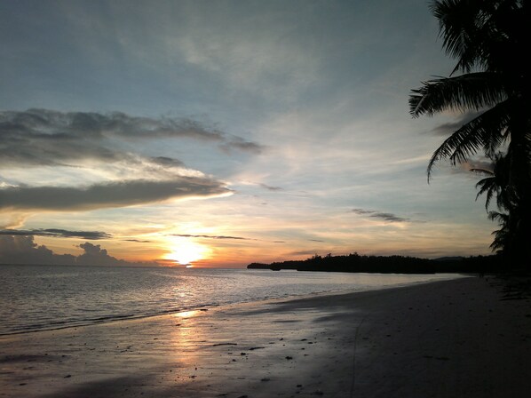 A beach with a sunset, palm trees, and a calm sea. - The Lazy Dog Bed & Breakfast (Boracay Island)