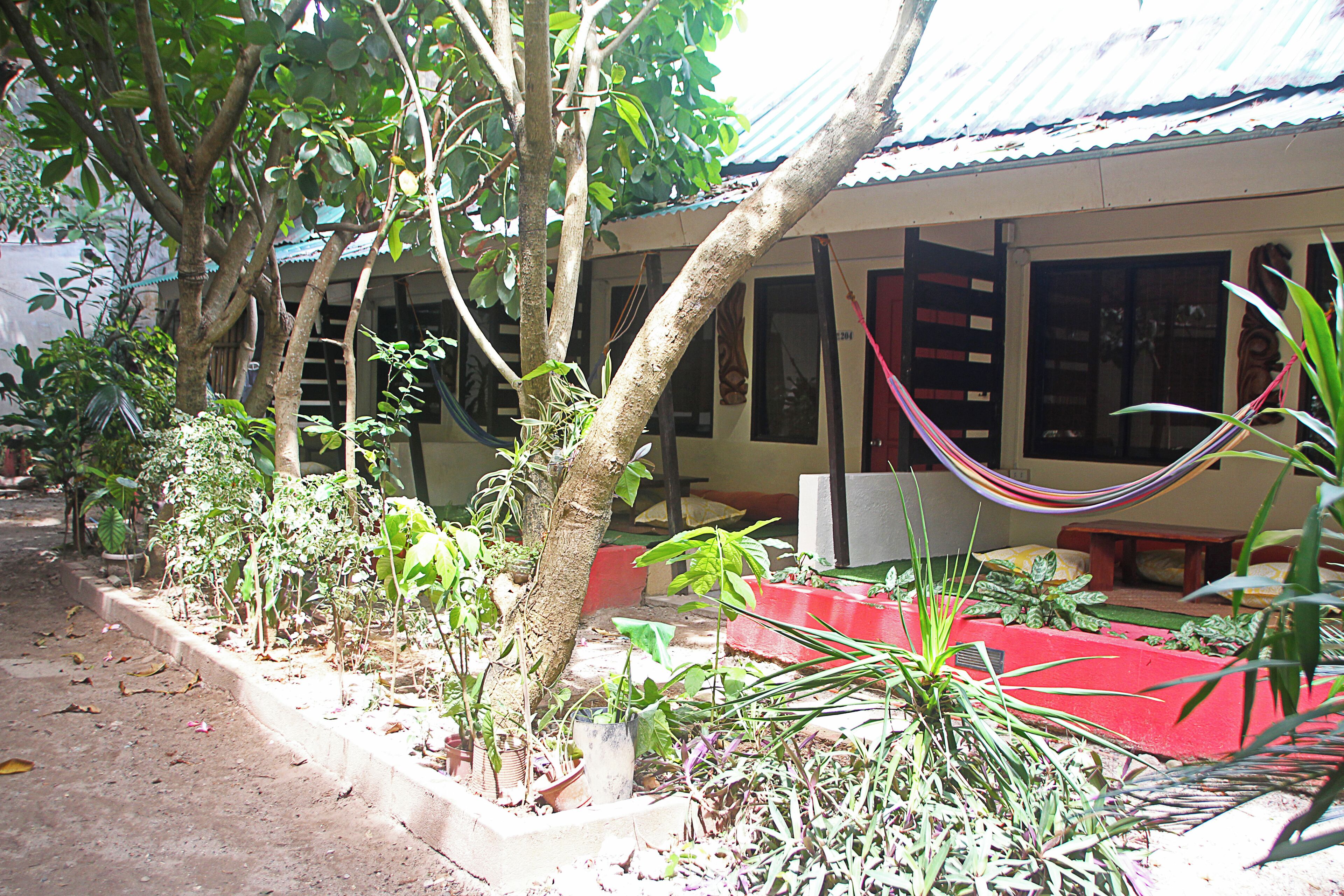 Foto - Lazy Dog Bed & Breakfast