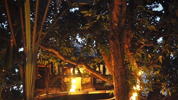 A wooden structure with a covered patio area, surrounded by trees and illuminated by string lights. - The Lazy Dog Bed & Breakfast (Boracay Island)