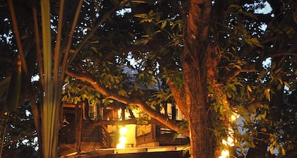 The Lazy Dog Bed & Breakfast