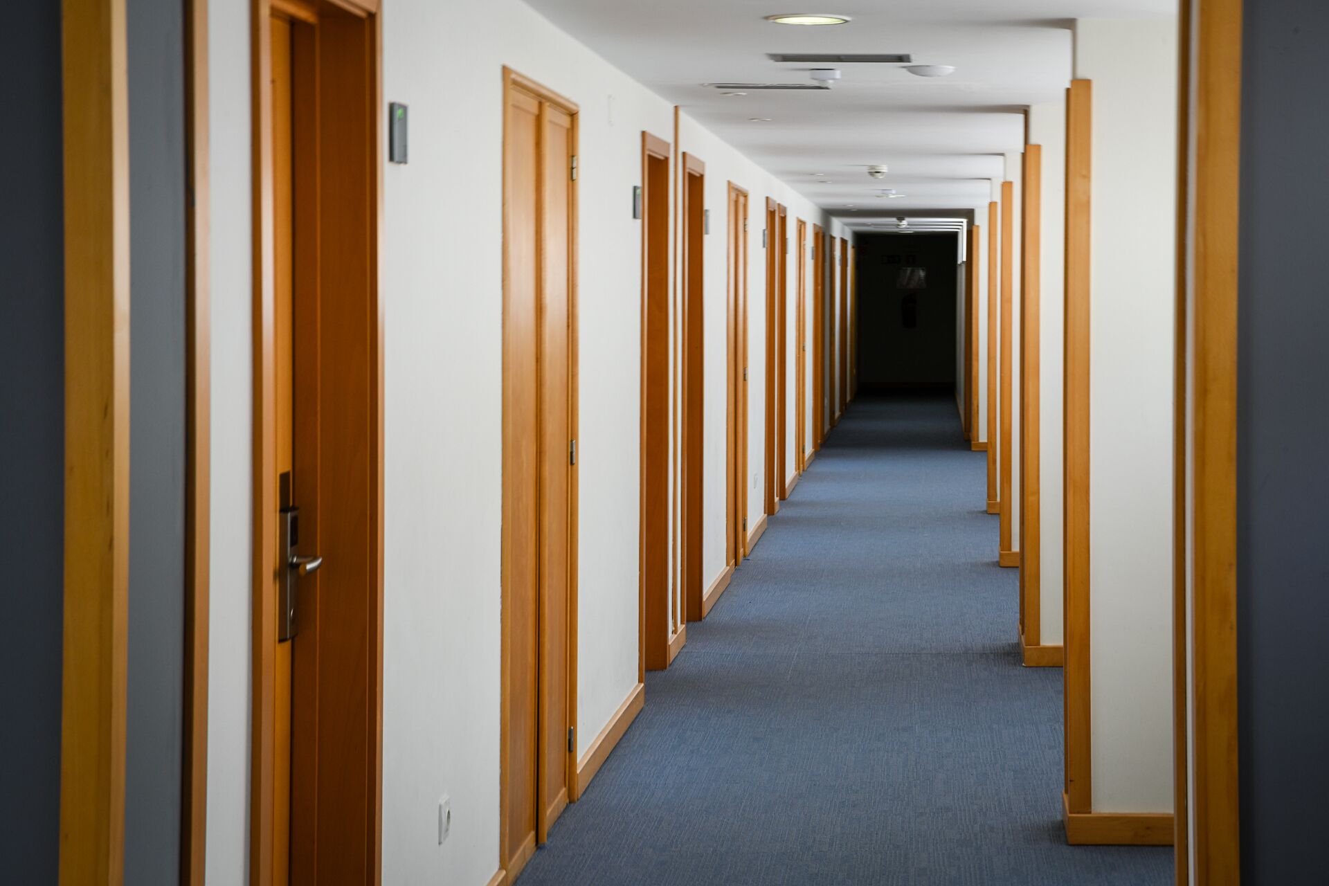 A hotel corridor with wooden doors and blue carpeting.