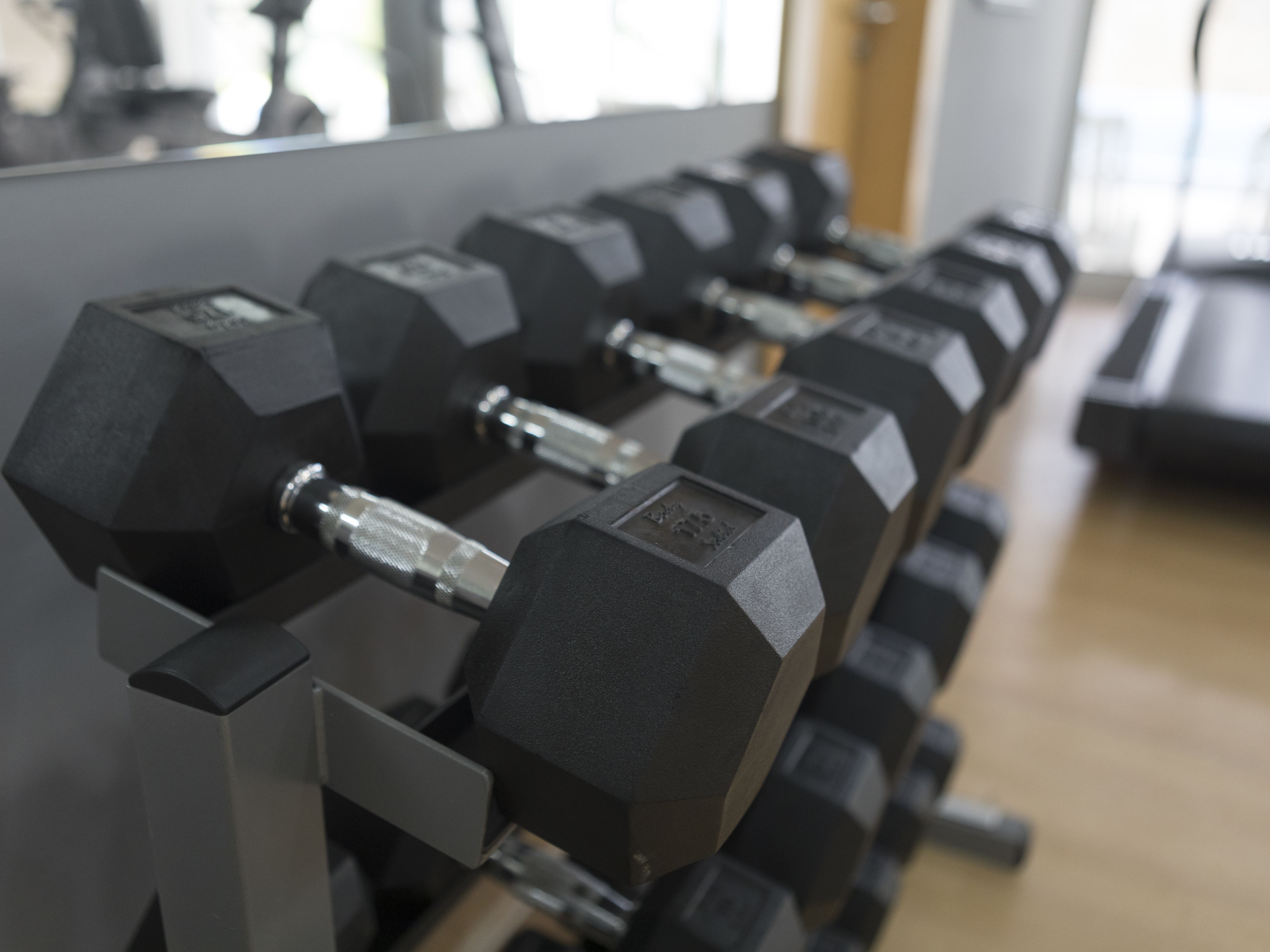 A row of black dumbbells on a rack in a gym.