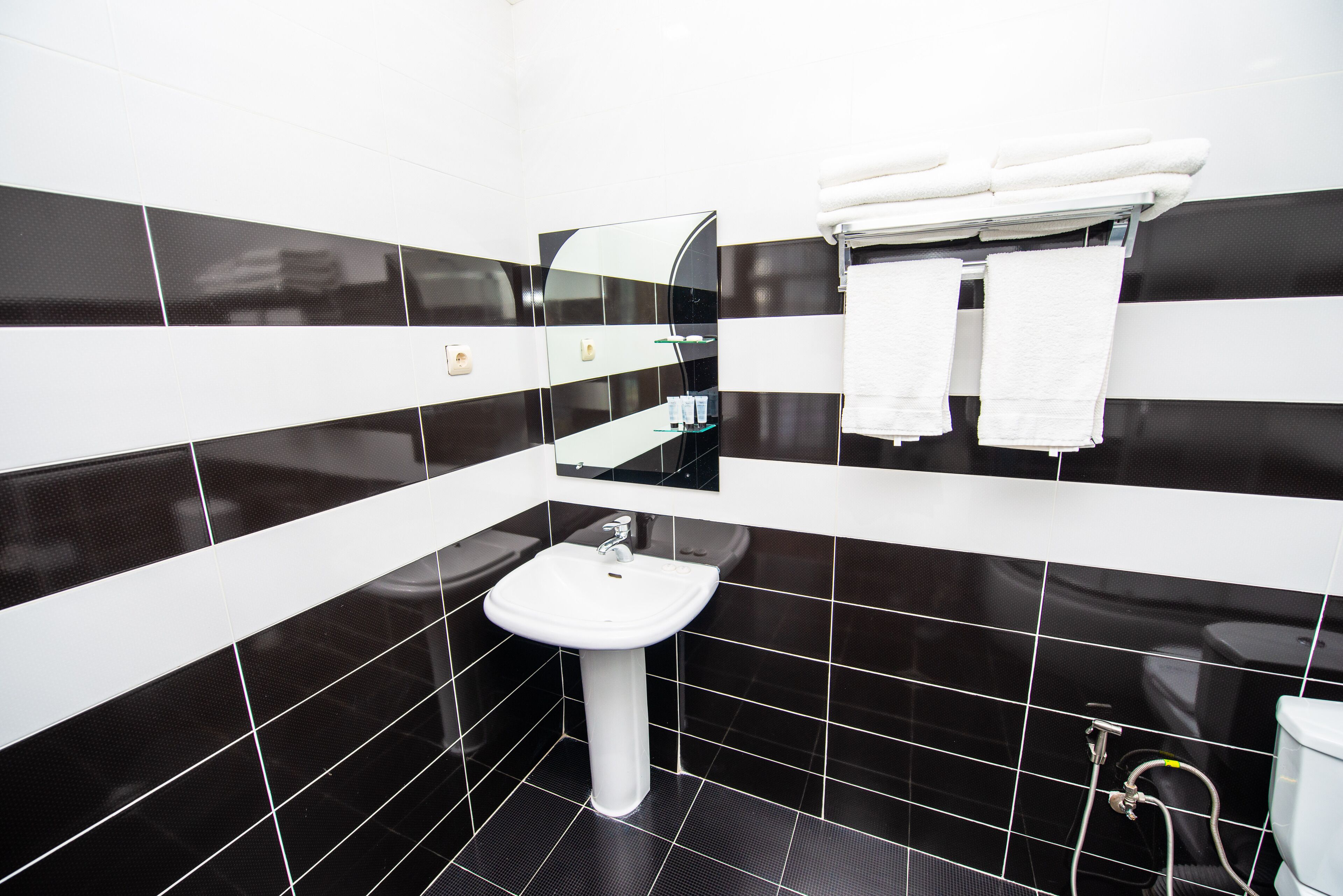 Foto - Hotel Shine Palace