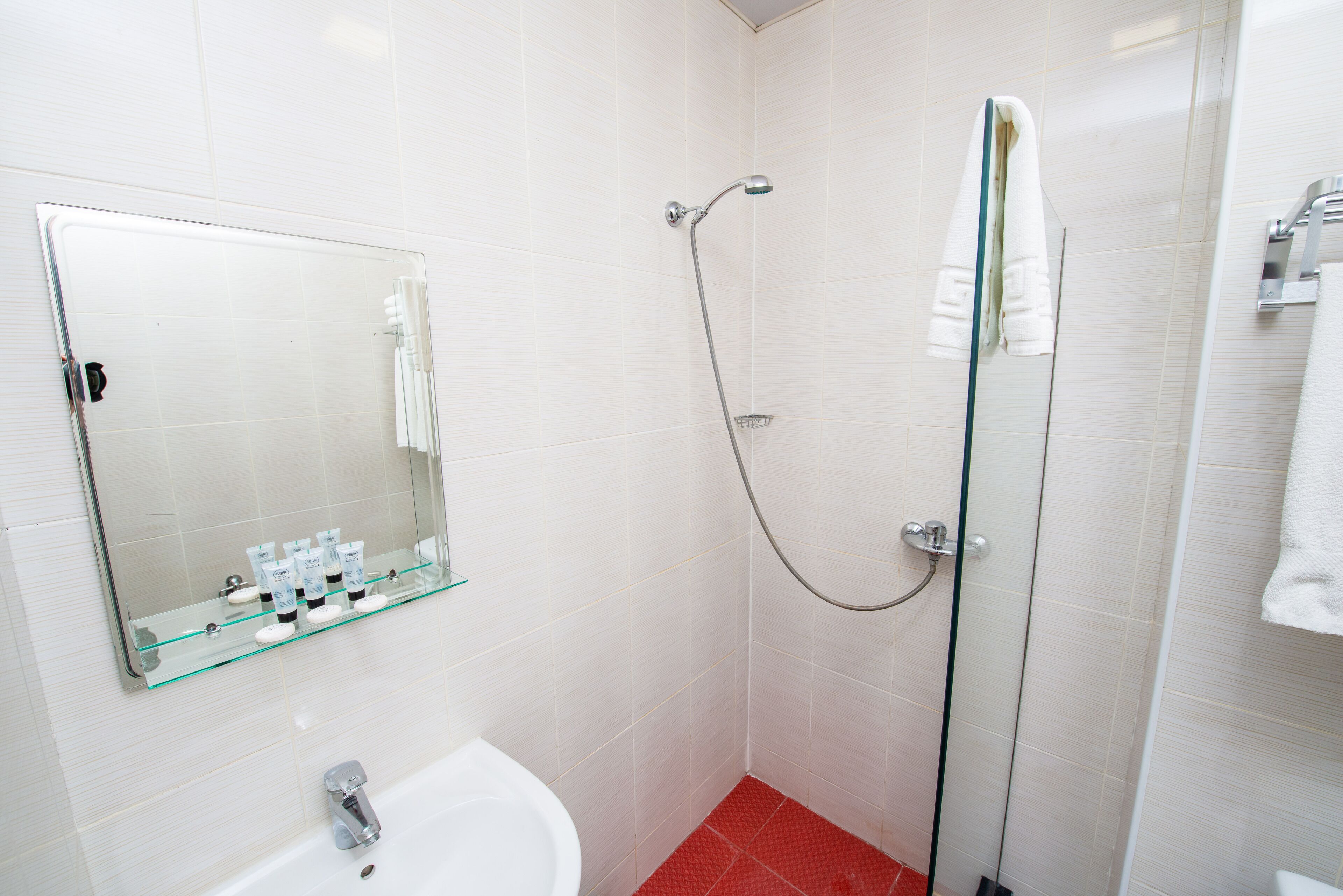 Foto - Hotel Shine Palace