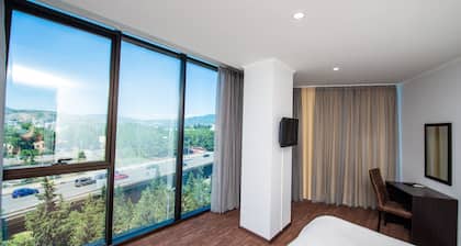 Hotel Shine Palace