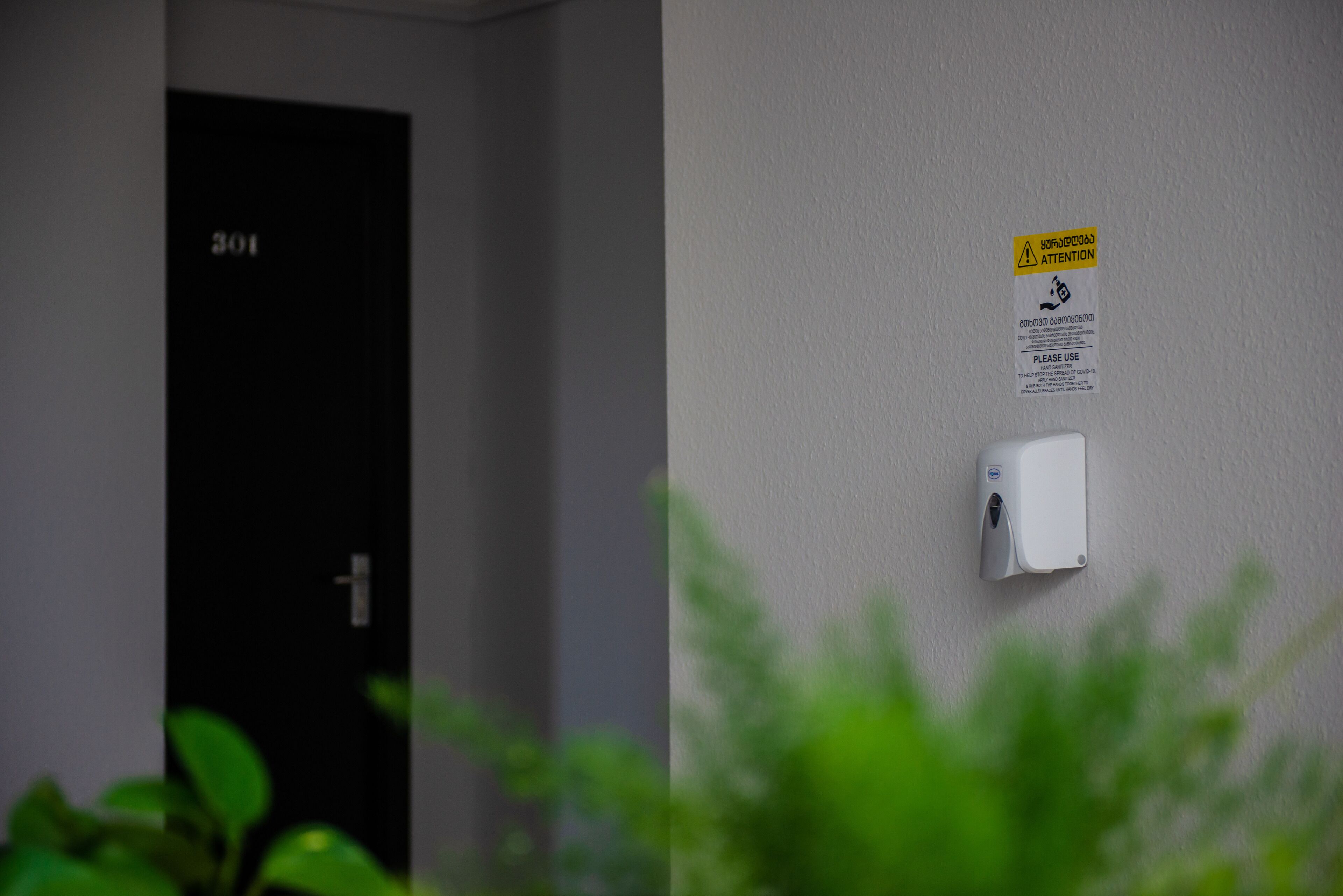 Foto - Hotel Shine Palace