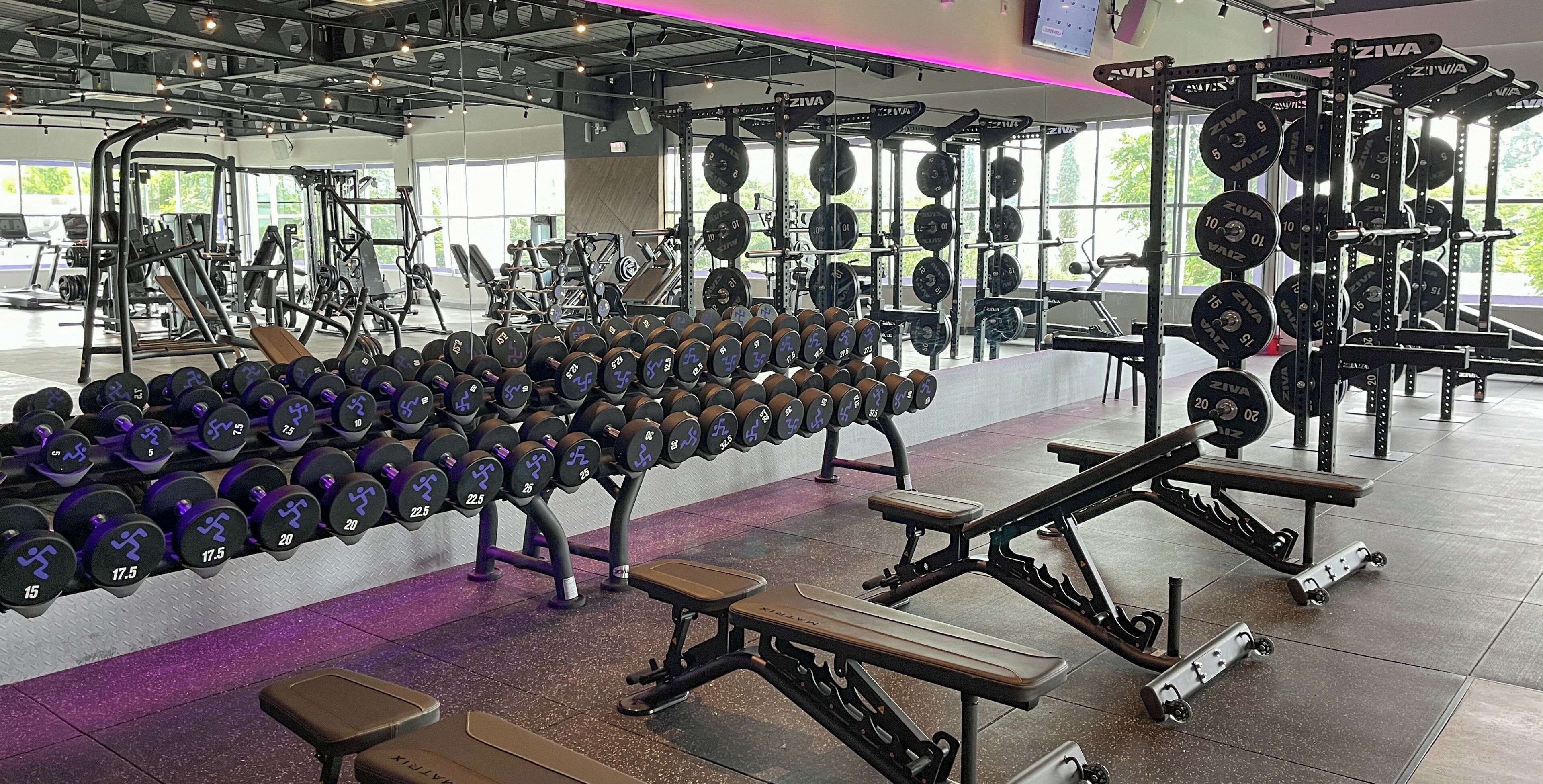 A gym with various weightlifting equipment, including dumbbells and barbells.