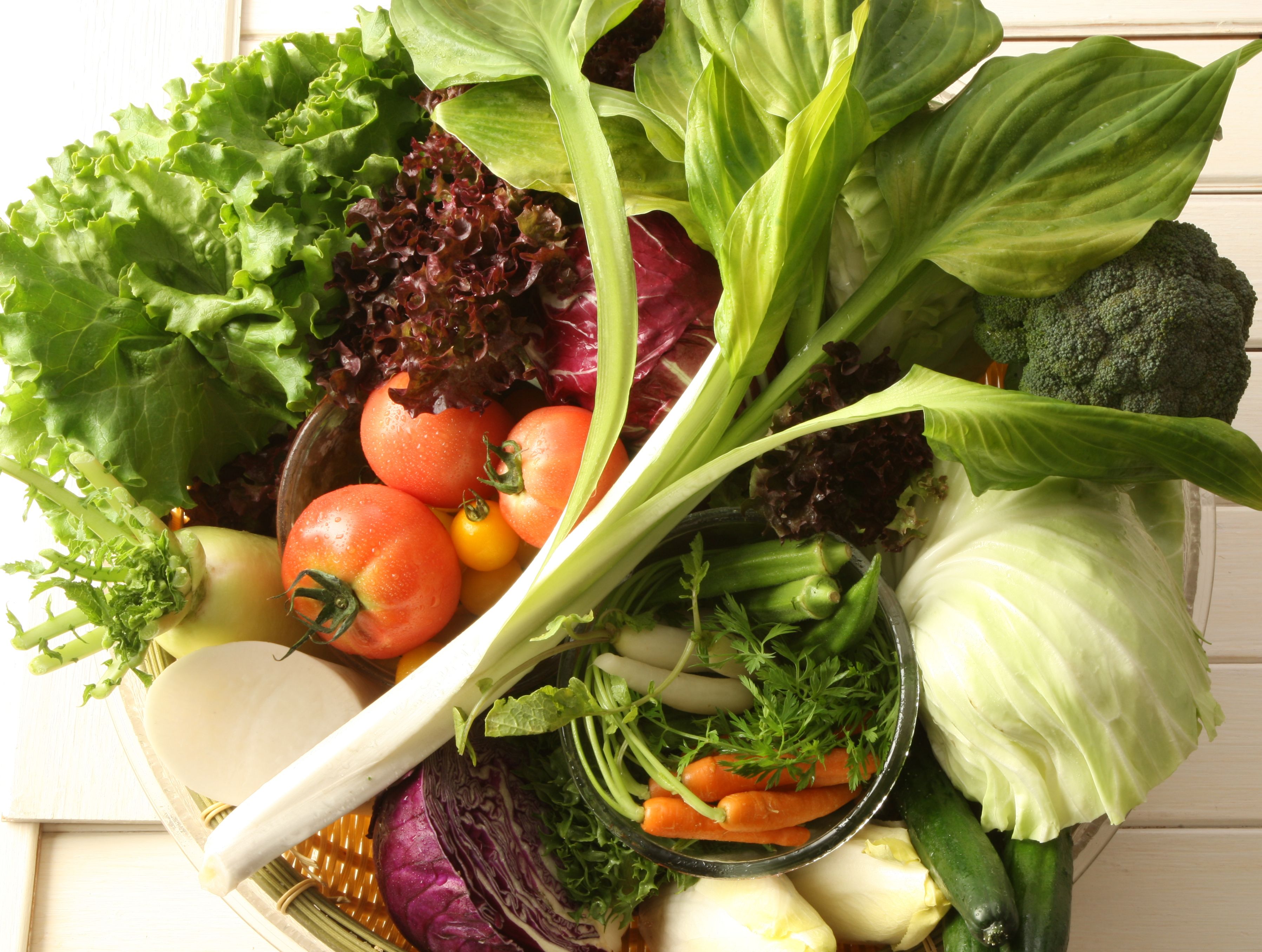 Un assortiment de légumes frais, notamment de la laitue, des tomates, des carottes et des brocolis.