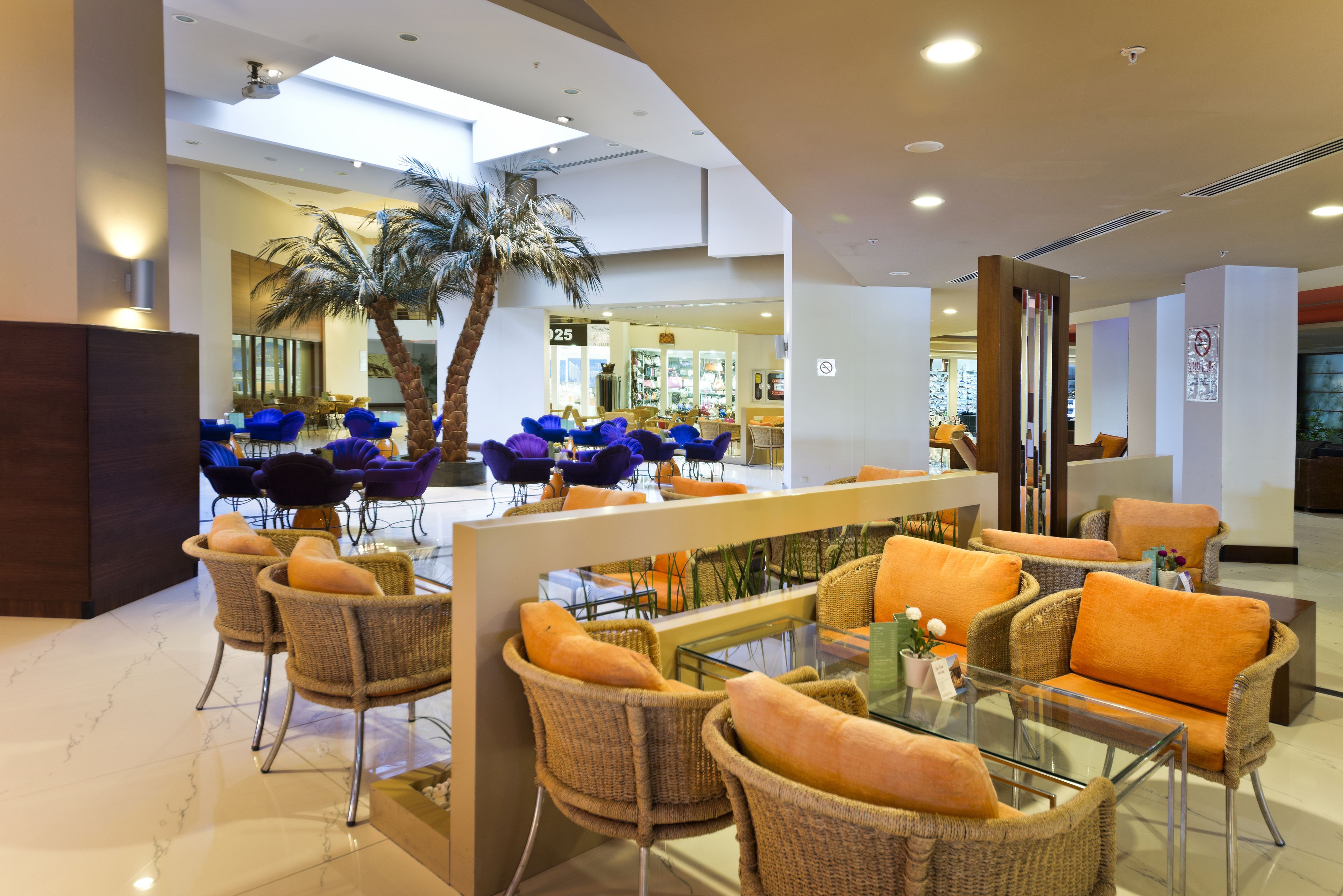 A modern lobby with wicker furniture, a palm tree, and a glass coffee table.
