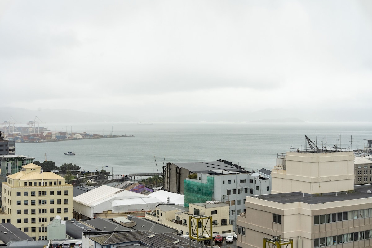 A coastal cityscape with buildings, a harbor, and a bridge.