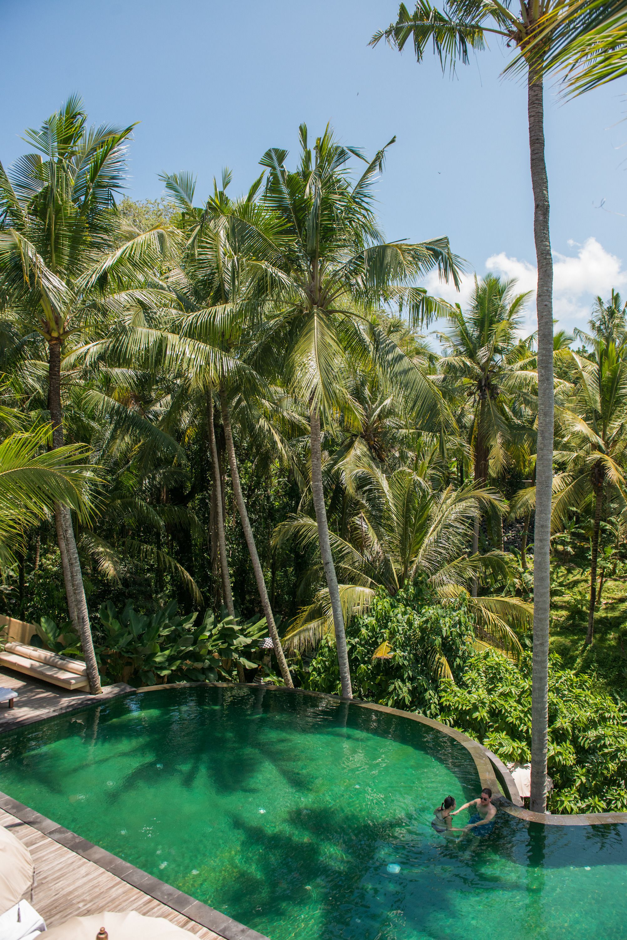 A clear pool surrounded by palm trees, with a person swimming and another person standing by the pool's edge.