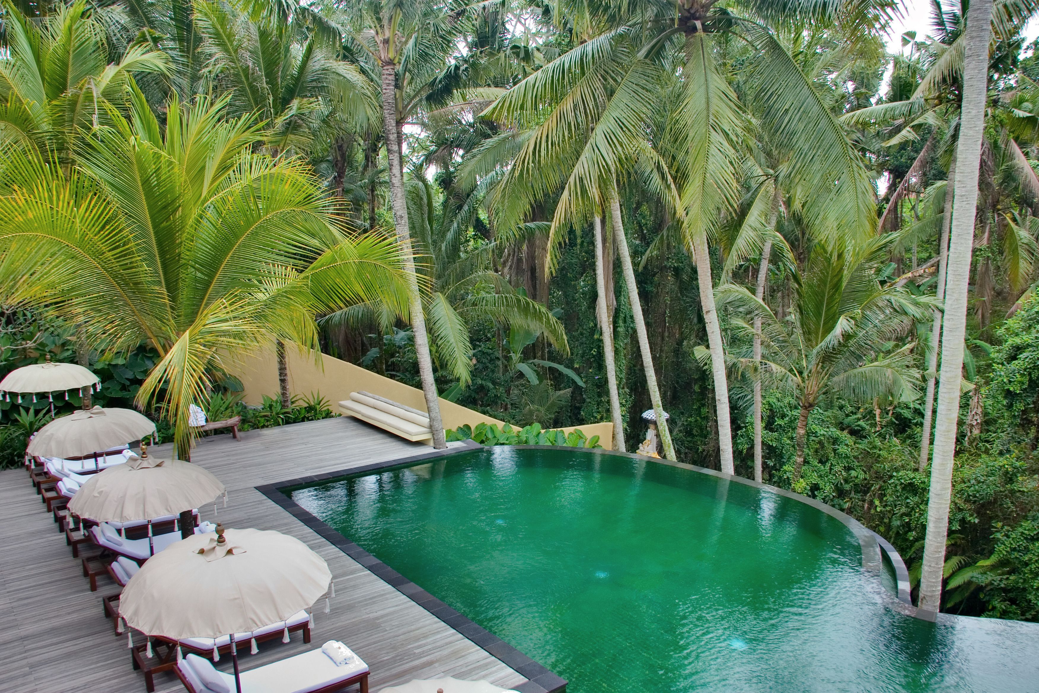 Zona de piscina con sillones de descanso y sombrillas, rodeada de palmeras y una terraza de madera.