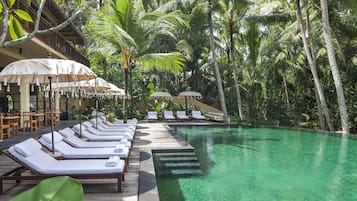 Outdoor pool, pool umbrellas, sun loungers