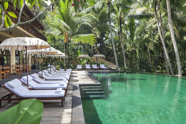 Outdoor pool, pool umbrellas, sun loungers