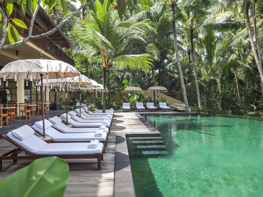 Una piscina al aire libre, sombrillas, sillones reclinables de piscina