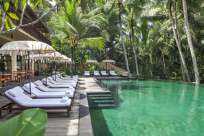 A poolside area with lounge chairs and umbrellas, surrounded by palm trees.