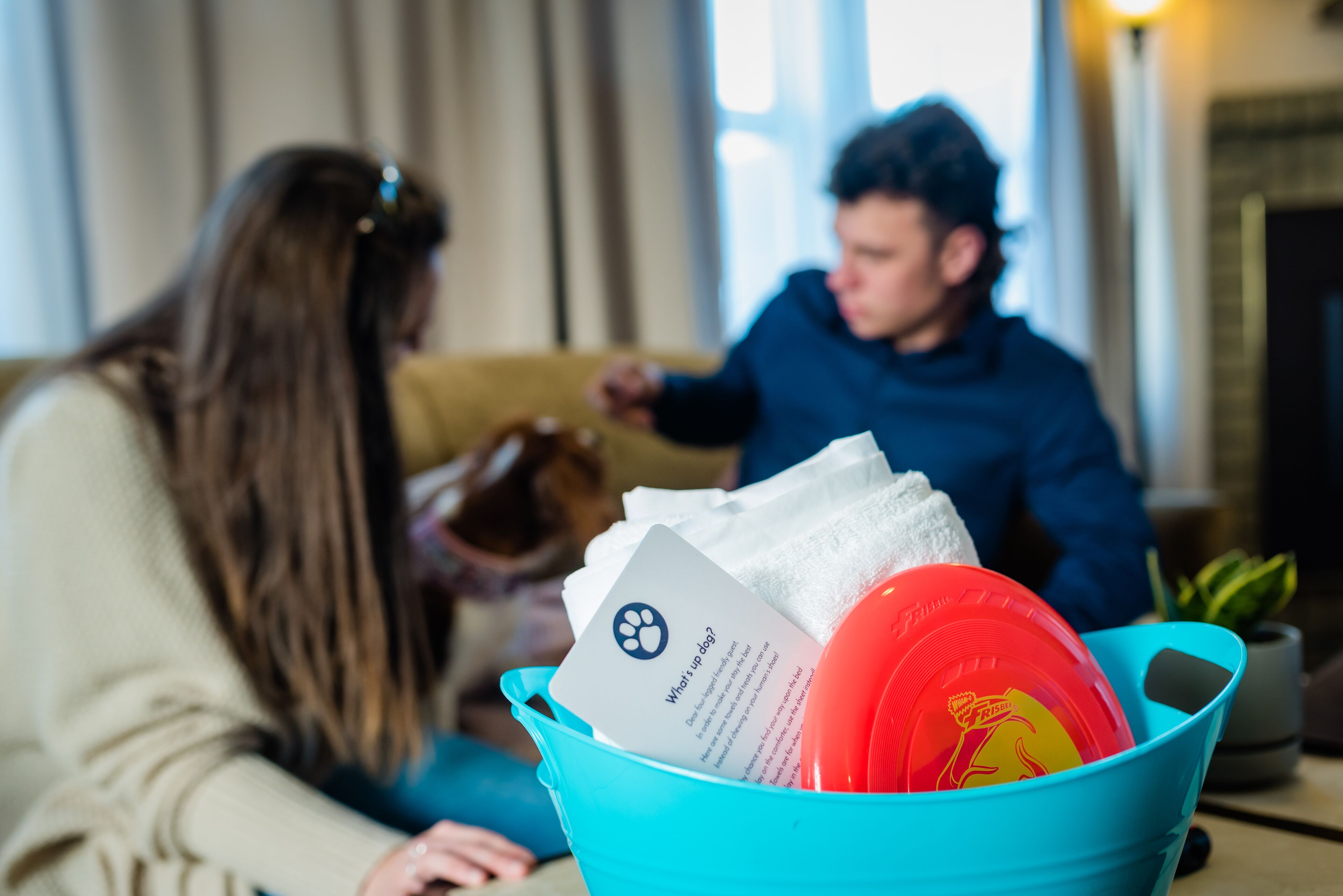 pet-friendly amenities