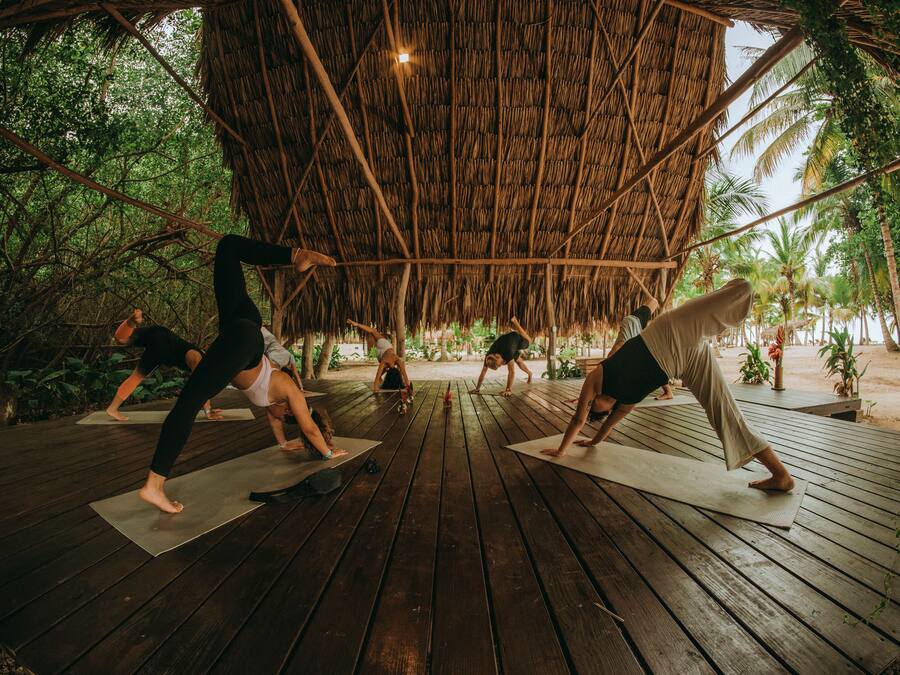 Eine Gruppe von Menschen praktiziert Yoga auf Holzmatten unter einem reetgedeckten Dach in üppiger Vegetation.