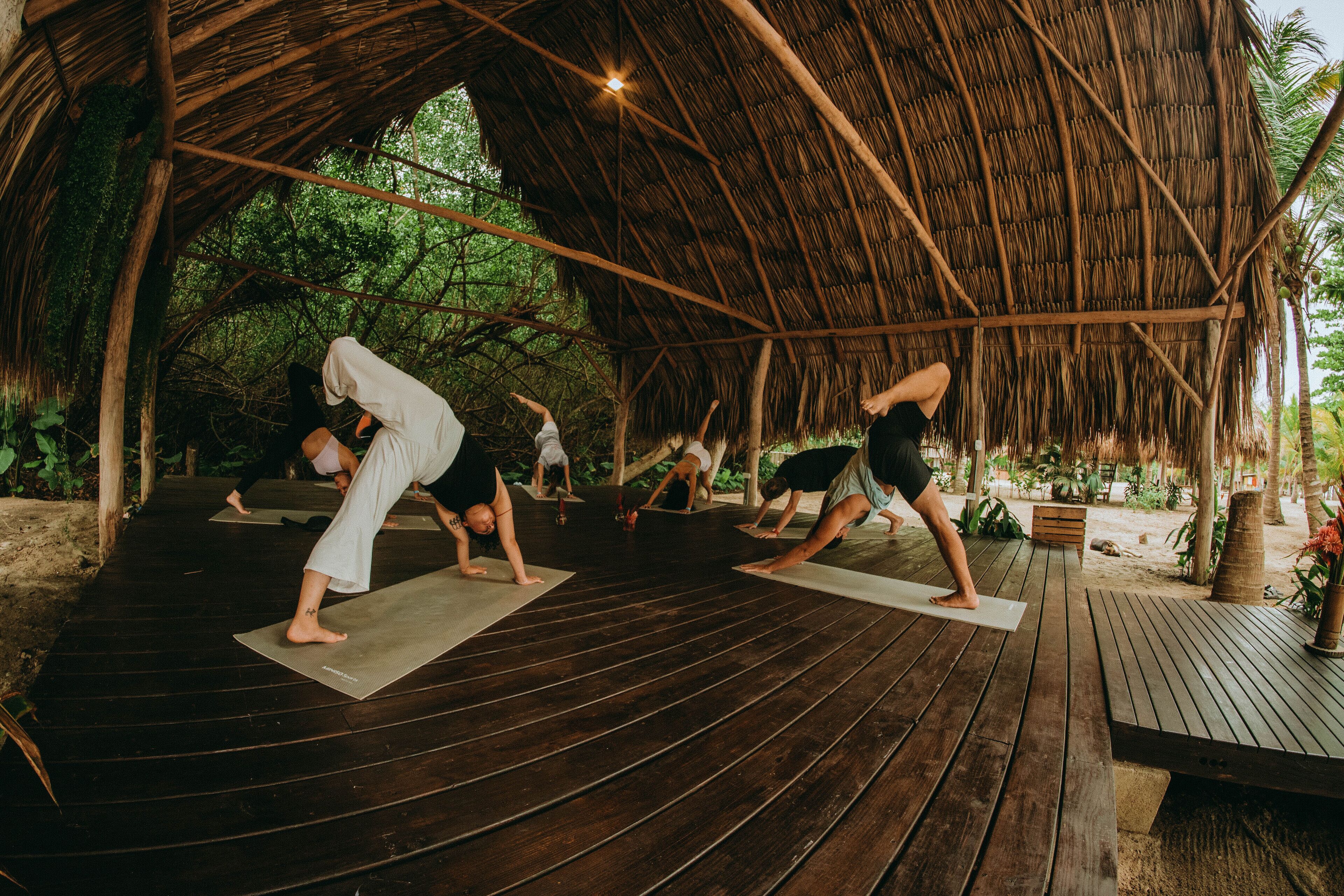 A group of people practicing yoga on wooden mats under a thatched roof structure surrounded by greenery.