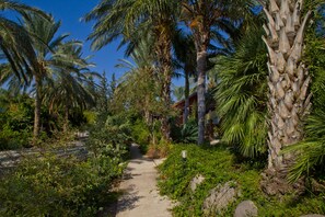 Un sendero bordeado de exuberante vegetación y palmeras que conduce a un edificio de fachada de ladrillo.