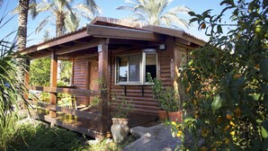 A wooden cabin with a porch, a window, and potted plants. - Naomi's B&B (Ramot)