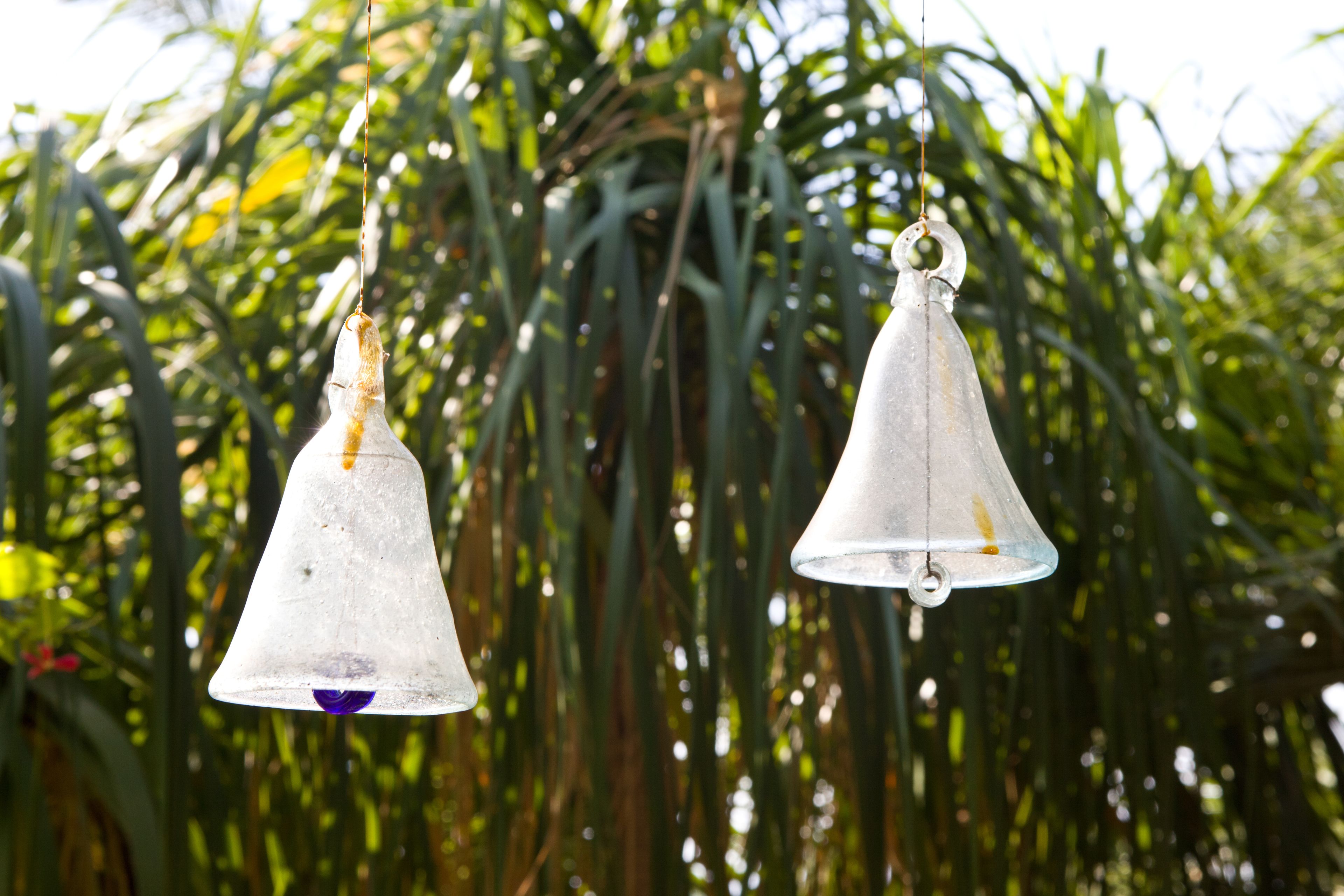 Deux cloches en verre transparent suspendues à l’extérieur, avec un arrière-plan flou de feuillage verdoyant.