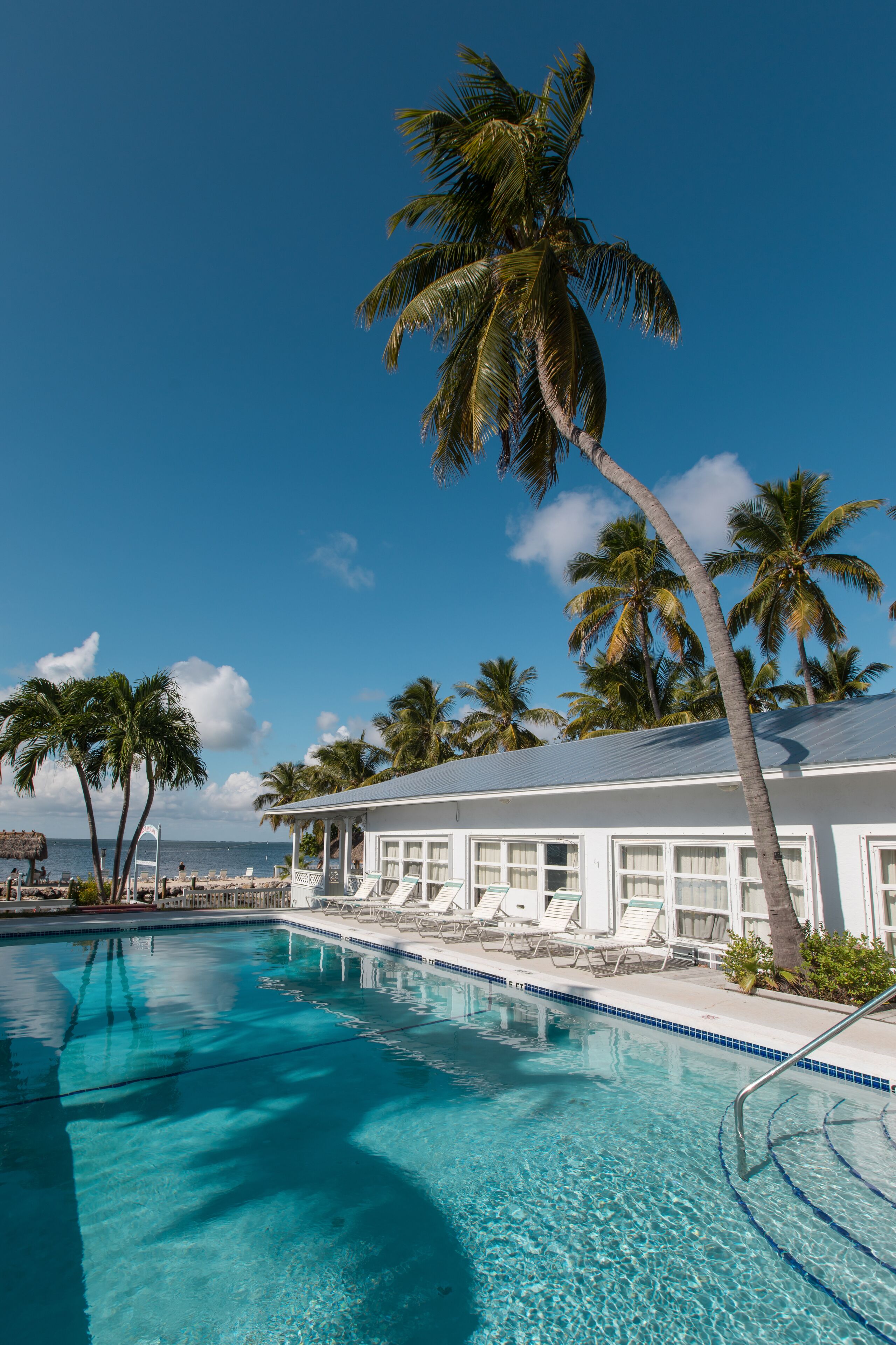 outdoor pool, a heated pool, open 9 am to 9 pm, pool umbrellas