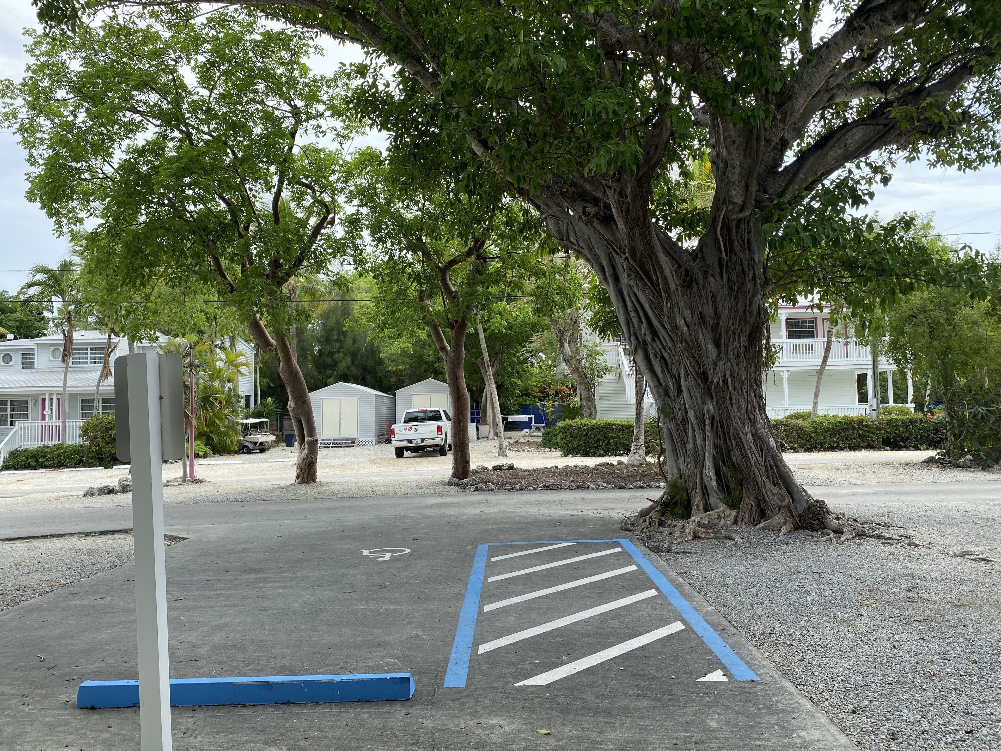 standard room, 1 king bed, accessible | view from room