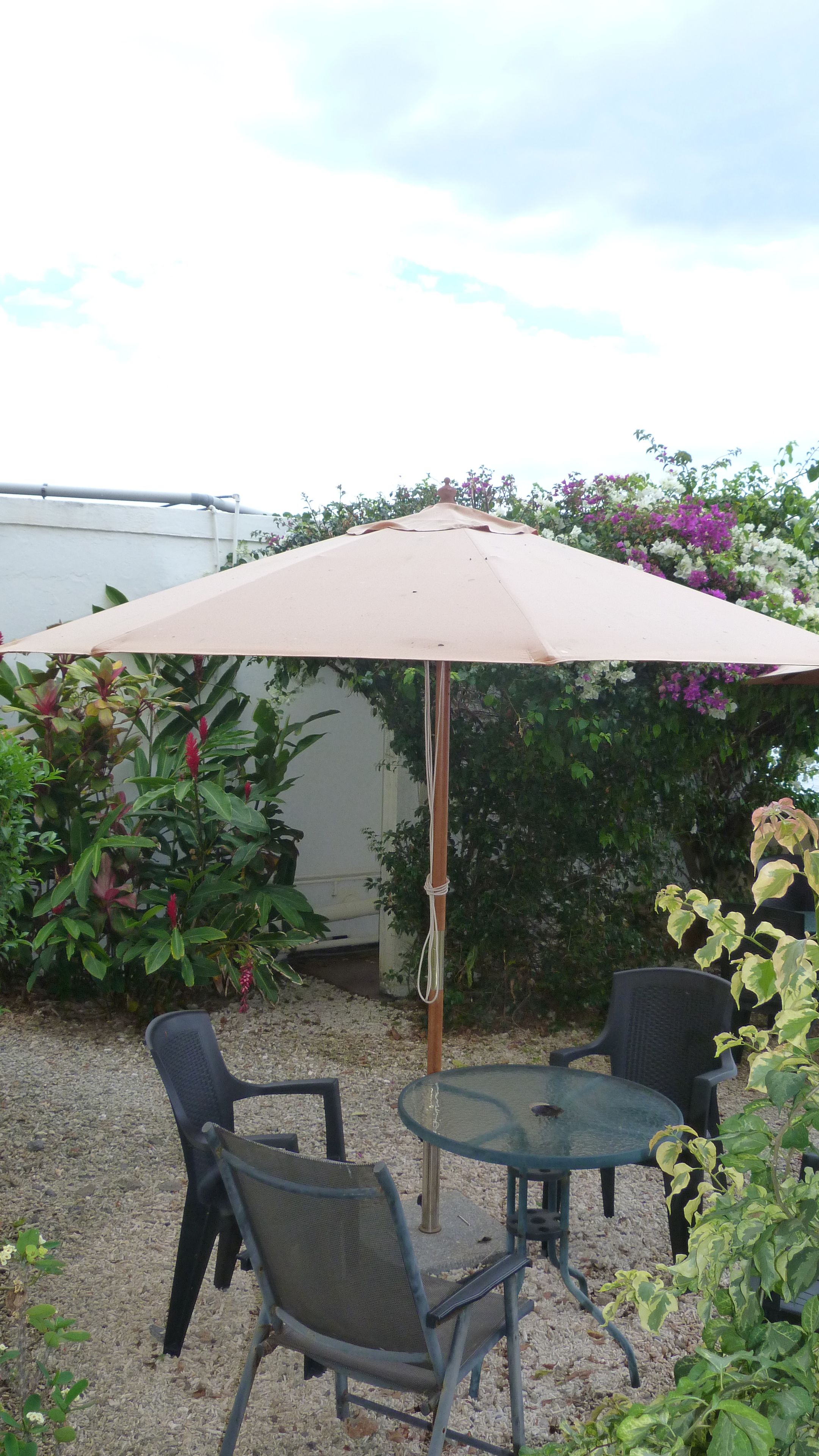 Un espace extérieur aménagé avec une table et deux chaises, protégé par un grand parasol, et entouré d’une végétation luxuriante et de plantes en fleurs.