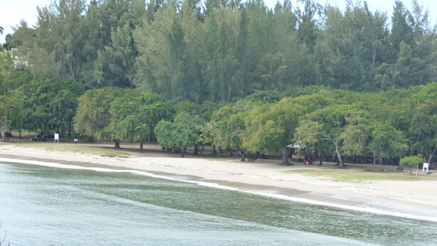 Una playa con árboles y una vista despejada del agua.