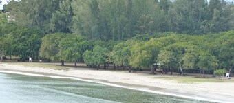 Le Cactus Guesthouse