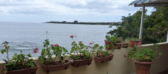 Le Cactus Guesthouse