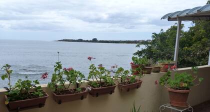Le Cactus Guesthouse