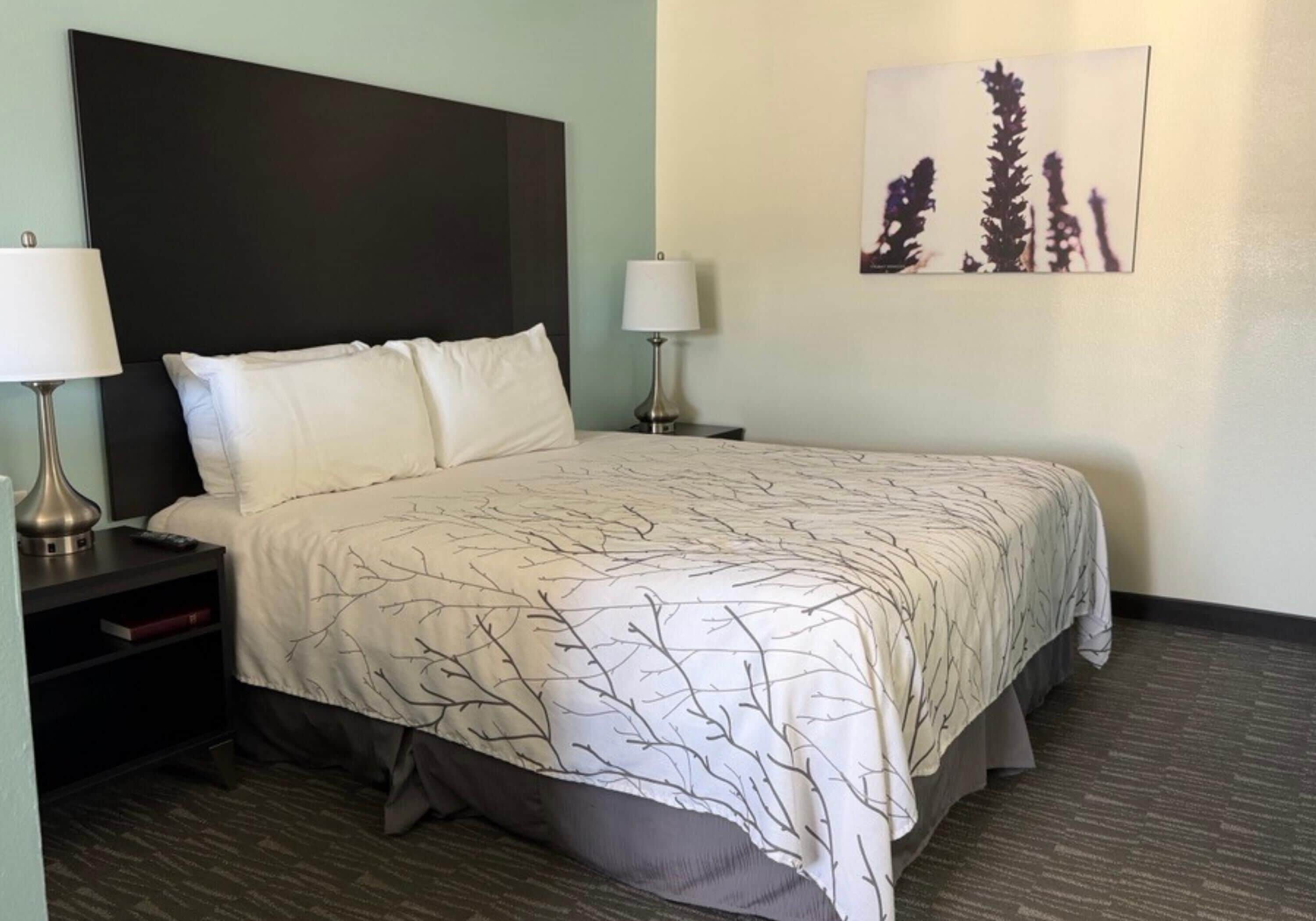 Habitación estándar, 1 cama King size, para no fumadores, refrigerador y microondas | Escritorio, tabla de planchar con plancha y wifi gratis 