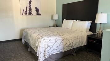 Standard Room, 1 Queen Bed, Non Smoking, Refrigerator & Microwave | Desk, iron/ironing board, free WiFi