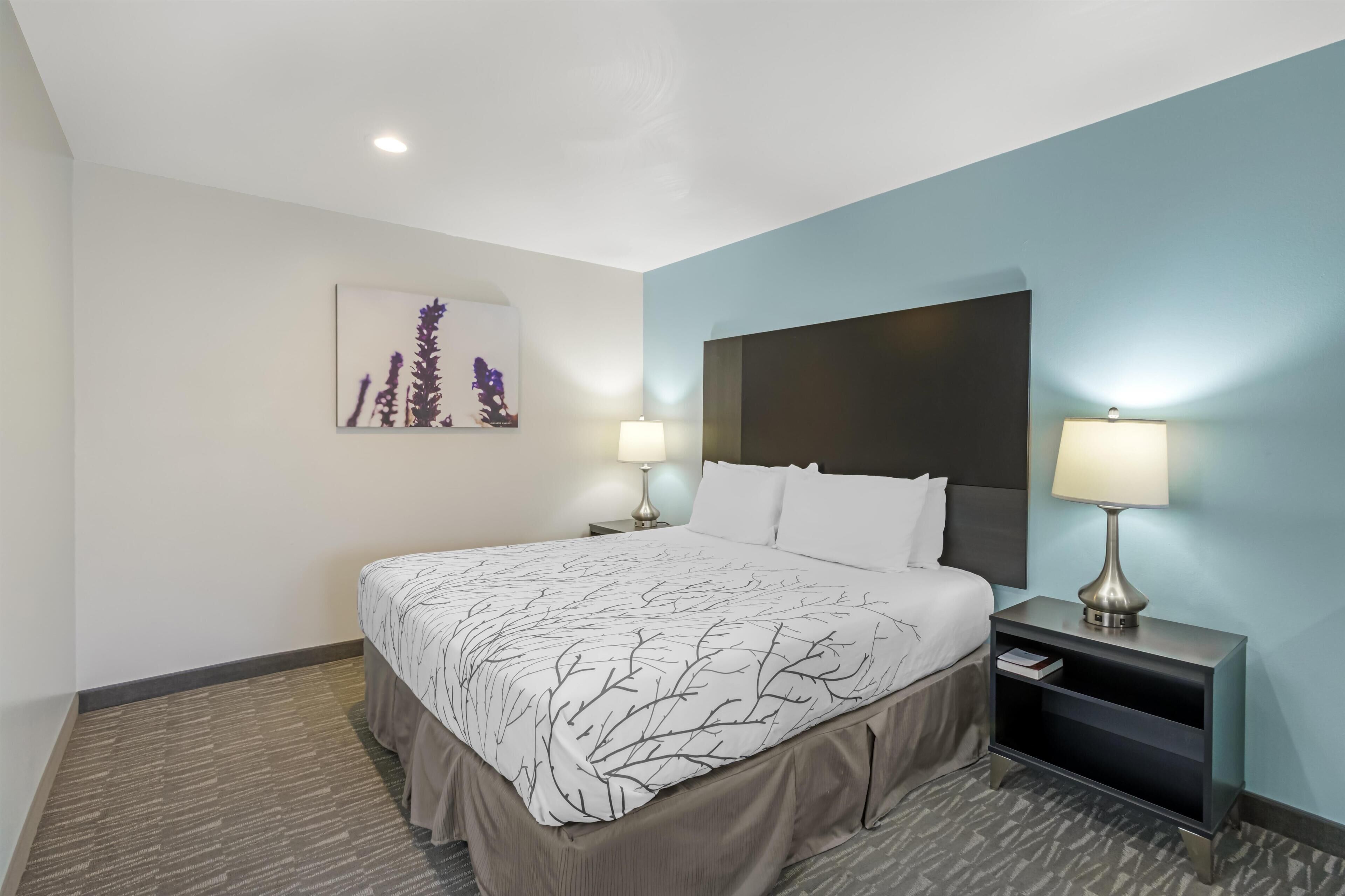 Standard Room, 1 King Bed, Non Smoking, Refrigerator & Microwave (Dining Table;Larger Room) | Desk, iron/ironing board (on request), WiFi (free)